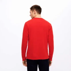 Vilebrequin Men Cotton T-Shirt Requins 3D -Outdoor Beach & Swimwear ALEC3P07 256 backworn 3920x3920 1