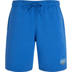 Men Bermuda Gradient Embroidered Logo - Vilebrequin X The Beach Boys
