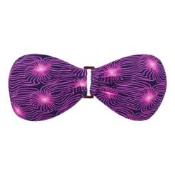 Vilebrequin Women Bandeau Bikini Top Bikini Hypno Shell